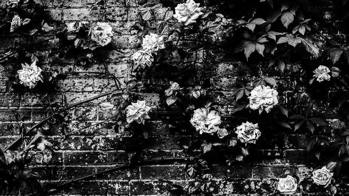 blog-item_asiakaspalvelu_ja_kysymisen_taito