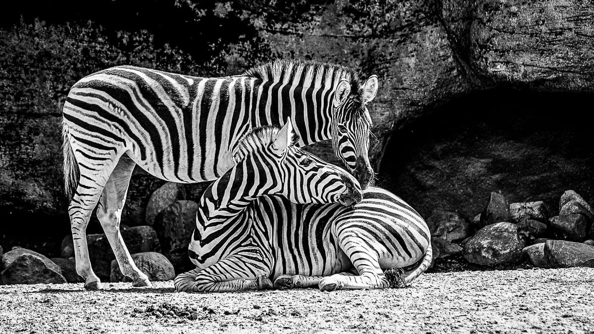 blog-item_kun_kommunikaatiosta_tulee_virtaa