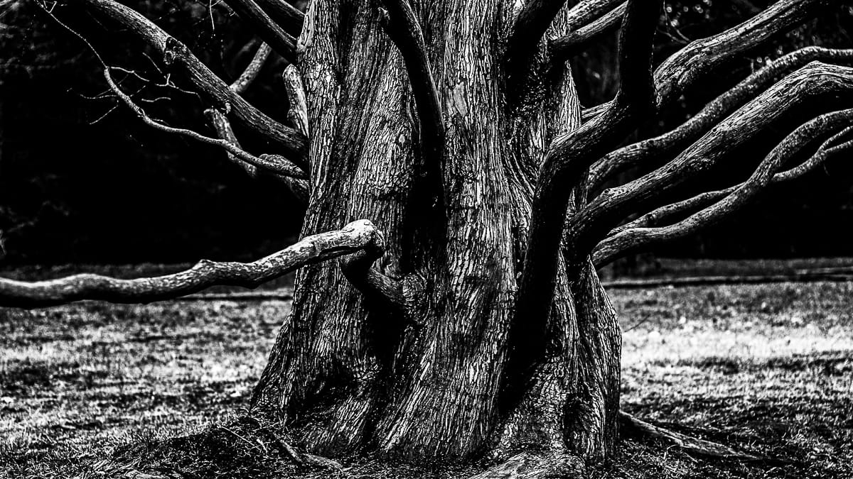 blog-item_miten_saan_negatiivisen_tyontekijan_sitoutumaan_yhteisiin_tavoitteisiin_